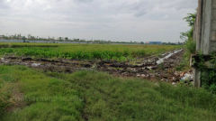 ขายที่ดินลำลูกกา 20 ไร่ ติดถนน เหมาะทำจัดสรร ที่ดินลำลูกกา ปทุมธานี  -202508122204571755011097318.png