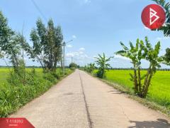 ขายที่ดิน เนื้อที่ 3 ไร่ 3 งาน 64.4 ตร.วา ศรีมหาโพธิ ปราจีนบุรี-202508131009091755054549479.jpg