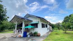 ที่ดิน พร้อมบ้านเดี่ยว ชั้นเดียว 2-3-97 ไร่ วังกระโจม - นครนายก