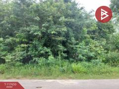 ขายที่ดิน-เนื้อที่-1-ไร่-28-ตร.วา-ตำบลใน