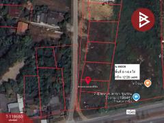 ขายที่ดิน เนื้อที่ 2 งาน 14.9 ตร.วา งิ้วงาม อุตรดิตถ์-202508131303541755065034529.jpg