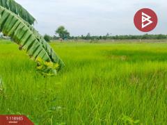 ขายที่ดินจัดสรรแปลงสวย-เนื้อที่-2-ไร