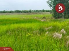 ขายที่ดินจัดสรรแปลงสวย เนื้อที่ 2 ไร่ องครักษ์ นครนายก ทำเลดี-202508131344551755067495451.jpg
