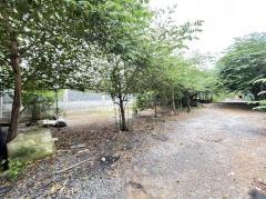 L-144 : ที่ดิน 2-2-71 ไร่ เข้าจาก ถ.กาญจนาภิเษก 180 เมตร ซ.อัศวพิเชษฐ์ 10 (ซ.สวนผัก 45) ตลิ่งชัน-202508131851251755085885415.jpg