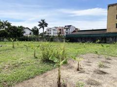 L-144 : ที่ดิน 2-2-71 ไร่ เข้าจาก ถ.กาญจนาภิเษก 180 เมตร ซ.อัศวพิเชษฐ์ 10 (ซ.สวนผัก 45) ตลิ่งชัน-202508131851261755085886384.jpg