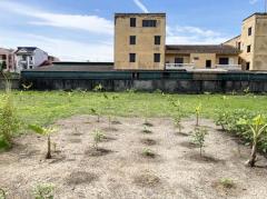 L-144 : ที่ดิน 2-2-71 ไร่ เข้าจาก ถ.กาญจนาภิเษก 180 เมตร ซ.อัศวพิเชษฐ์ 10 (ซ.สวนผัก 45) ตลิ่งชัน-202508131851261755085886869.jpg