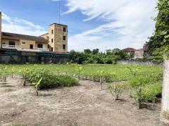 L-144 : ที่ดิน 2-2-71 ไร่ เข้าจาก ถ.กาญจนาภิเษก 180 เมตร ซ.อัศวพิเชษฐ์ 10 (ซ.สวนผัก 45) ตลิ่งชัน-202508131851271755085887356.jpg