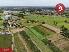 ขายที่ดิน เนื้อที่ 1 ไร่ 1 งาน 74.4 ตร.วา ดอนหัน ขอนแก่น-202508141022331755141753120.jpg