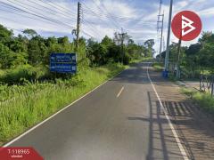 ขายที่ดิน เนื้อที่ 4 ไร่ 1 งาน 38 ตร.วา วังกระแจะ ตราด-202508141104451755144285081.jpg