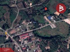 ขายที่ดิน เนื้อที่ 4 ไร่ 1 งาน 38 ตร.วา วังกระแจะ ตราด-202508141104451755144285627.jpg
