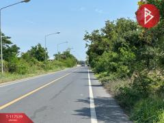 ขายที่ดิน เนื้อที่ 7 ไร่ 2 งาน 34 ตร.วา บางไทร พระนครศรีอยุธยา-202508141146331755146793639.jpg