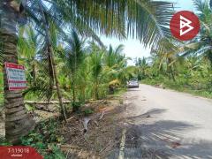 ขายที่ดิน เนื้อที่ 7 ไร่ 79 ตร.วา ท้ายหาด สมุทรสงคราม-202508141250541755150654560.jpg