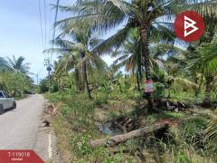 ขายที่ดิน เนื้อที่ 7 ไร่ 79 ตร.วา ท้ายหาด สมุทรสงคราม-202508141250551755150655643.jpg