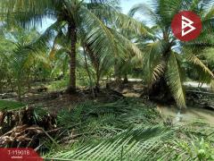 ขายที่ดิน เนื้อที่ 7 ไร่ 79 ตร.วา ท้ายหาด สมุทรสงคราม-202508141250561755150656721.jpg