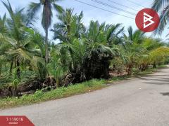 ขายที่ดิน เนื้อที่ 7 ไร่ 79 ตร.วา ท้ายหาด สมุทรสงคราม-202508141250571755150657259.jpg