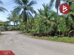 ขายที่ดิน เนื้อที่ 7 ไร่ 79 ตร.วา ท้ายหาด สมุทรสงคราม-202508141250571755150657798.jpg