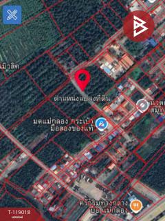 ขายที่ดิน เนื้อที่ 7 ไร่ 79 ตร.วา ท้ายหาด สมุทรสงคราม-202508141251021755150662568.jpg