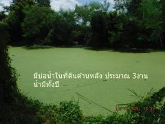 ขายที่ดินพร้อมสิ่งปลูกสร้าง 12 ไร่ ต.ห้วยแห้ง อ.แก่งคอย จ.สระบุรี ติดถนนดำหน้ากว้าง 100 กมตร พร้อมบ้านและสิ่งปลูกสิ่งปลูกสร้าง พื้นที่มีเทปูนบ้างบางส่วน หลังที่ดิน มีย่อน้ำประมาณ 3 งาน ลึกประมาณ 5 เมตร มีน้ำทั้งปี มีไฟ3 เฟส เข้าออกได้หลายทาง ทางสระบุ-202508141320561755152456581.jpg
