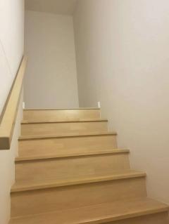 ขาย/ให้เช่าทาวน์เฮ้าส์ 2 ชั้น หมู่บ้านอินดี้ 1 บางนา กม. 7 ใกล้เมกาบางนา (N.1821)-202508141328431755152923991.jpg