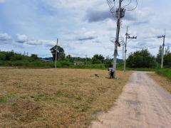 ลดราคาพิเศษ!! ขายที่ดิน 50 ตรว. ราคา 170,000 บาท บ้านหนองจิกพัฒนา ต.ไร่ใหม่ อ.สามร้อยยอด จ.ประจวบคีรีขันธ์-202508141421041755156064172.jpg