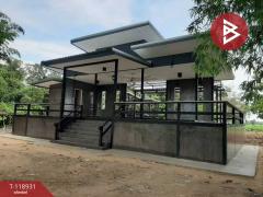  ขายที่ดิน เนื้อที่ 20 ไร่ 2 งาน 19.7 ตร.วา บ้านดู่ เชียงราย-202508141429201755156560442.jpg