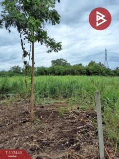 ขายที่ดิน เนื้อที่ 3 ไร่ จอมบึง ราชบุรี-202508141452281755157948107.jpg