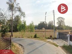 ขายที่ดิน-เนื้อที่-3-งาน-97.6-ตร.วา-ดงลาน-