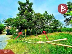 ขายที่ดิน-เนื้อที่-1-งาน-พุทธมณฑล-นคร
