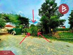 ขายที่ดิน เนื้อที่ 1 งาน พุทธมณฑล นครปฐม-202508141725071755167107634.jpg