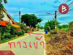 ขายที่ดิน เนื้อที่ 1 งาน พุทธมณฑล นครปฐม-202508141725081755167108198.jpg
