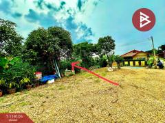 ขายที่ดิน เนื้อที่ 1 งาน พุทธมณฑล นครปฐม-202508141725101755167110192.jpg