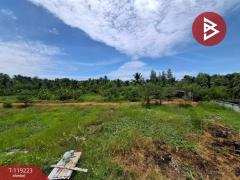 ขายที่ดิน เนื้อที่ 2 ไร่ 2 งาน 63.1 ตร.วา  คลองเขิน สมุทรสงคราม-202508141752121755168732232.jpg