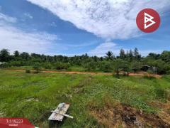 ขายที่ดิน เนื้อที่ 2 ไร่ 2 งาน 63.1 ตร.วา  คลองเขิน สมุทรสงคราม-202508141752121755168732764.jpg