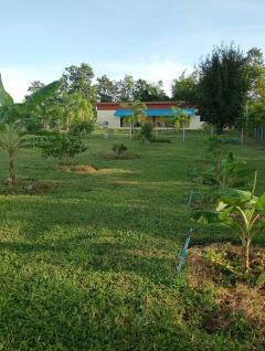 ขายบ้านพร้อมที่ดินโฉนดครุฑแดง จ.ตาก เนื้อที่4ไร่ บ้านหลังใหญ่ 1หลังพยร้อมบ้านน้อยเก็บของ 1หลัง-202508141809391755169779548.jpg