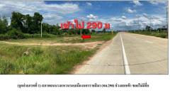 ขายที่ดินบ้านสะเดาเอนตำบลโตนดอำเภอโนนสูงจังหวัดนครราชสีมา ขนาด 10 ไร่ 1 งาน45ตร.วติดถนนสาธารณะ -202508141951321755175892370.jpg