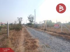 ขายที่ดิน เนื้อที่ 2 ไร่ ตลิ่งชัน สุพรรณบุรี-202508142046581755179218687.jpg