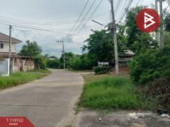 ขายบ้านเดี่ยวพร้อมที่ดิน เนื้อที่ 1 งาน 21 ตร.วา อรัญญิก พิษณุโลก-202508151014291755227669876.jpg
