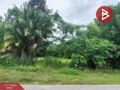 ขายที่ดิน เนื้อที่ 1 ไร่ 3 งาน 55 ตร.วา ตำบลในเมือง เวียงเก่า ขอนแก่น-202508151029251755228565535.jpg