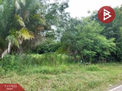 ขายที่ดิน เนื้อที่ 1 ไร่ 3 งาน 55 ตร.วา ตำบลในเมือง เวียงเก่า ขอนแก่น-202508151029271755228567277.jpg