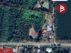 ขายที่ดิน เนื้อที่ 1 ไร่ 3 งาน 55 ตร.วา ตำบลในเมือง เวียงเก่า ขอนแก่น-202508151029281755228568956.jpg