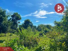 ขายที่ดิน เนื้อที่ 1 ไร่ 2 งาน 59.4 ตร.วา ต.ดงขวาง อ.หนองขาหย่าง จ.อุทัยธานี ติดถนน-202508151102091755230529337.jpg