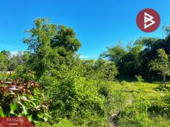 ขายที่ดิน เนื้อที่ 1 ไร่ 2 งาน 59.4 ตร.วา ต.ดงขวาง อ.หนองขาหย่าง จ.อุทัยธานี ติดถนน-202508151102101755230530421.jpg