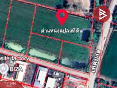 ขายที่ดิน เนื้อที่ 5 ไร่ 2 งาน 30.2 ตร.วา ลาดหลุมแก้ว ปทุมธานี-202508151340431755240043252.jpg