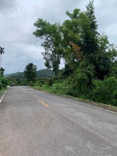 ขายที่ดินสวย 16 ไร่ 1 งาน 71 ตร.วา วิวเขาใหญ่ ติดถนนสาธารณะ คลองมะเดื่อ นครนายก ใกล้น้ำตกสาริกา-202508151404181755241458325.jpg