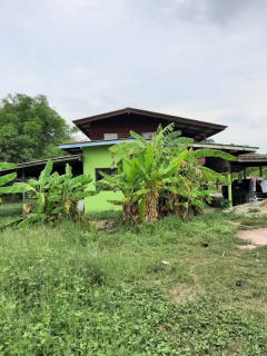ขายด่วน ที่ดิน (มีโฉนด) อ.บ้านนาจ.นครนายก-202508151449251755244165487.png