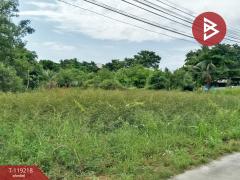 ขายที่ดิน เนื้อที่ 2 งาน 86 ตร.วา บ้านบึง ชลบุรี-202508151637581755250678028.jpg