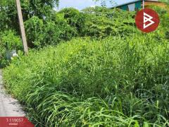 ขายที่ดิน เนื้อที่ 39 ตร.วา หนองเสือ ปทุมธานี-202508151642171755250937513.jpg