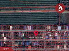 ขายที่ดิน เนื้อที่ 39 ตร.วา หนองเสือ ปทุมธานี-202508151642191755250939122.jpg