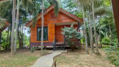 โอกาสทองของนักลงทุน และผู้ที่มองหาที่ดินเพื่อการพักผ่อน ที่ดินวิวภูเขา-202508152201061755270066203.jpg