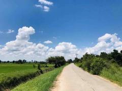 ขายที่ดินแปลงใหญ่ อ.พระยืน จ.ขอนแก่น-202508161016201755314180354.jpg